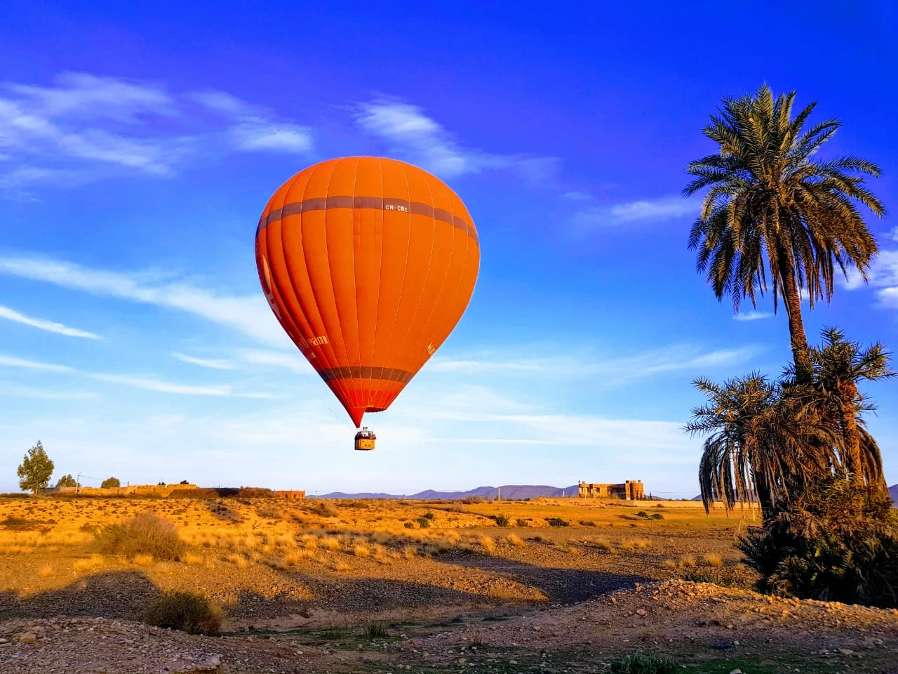 Montgolfière orange survolant les palmiers de la palmeraie de Marrakech